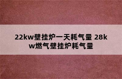 22kw壁挂炉一天耗气量 28kw燃气壁挂炉耗气量